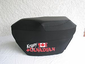 2010_krazy_.jpg - 19465 Bytes